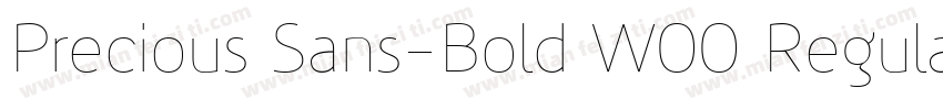 Precious Sans-Bold W00 Regular字体转换